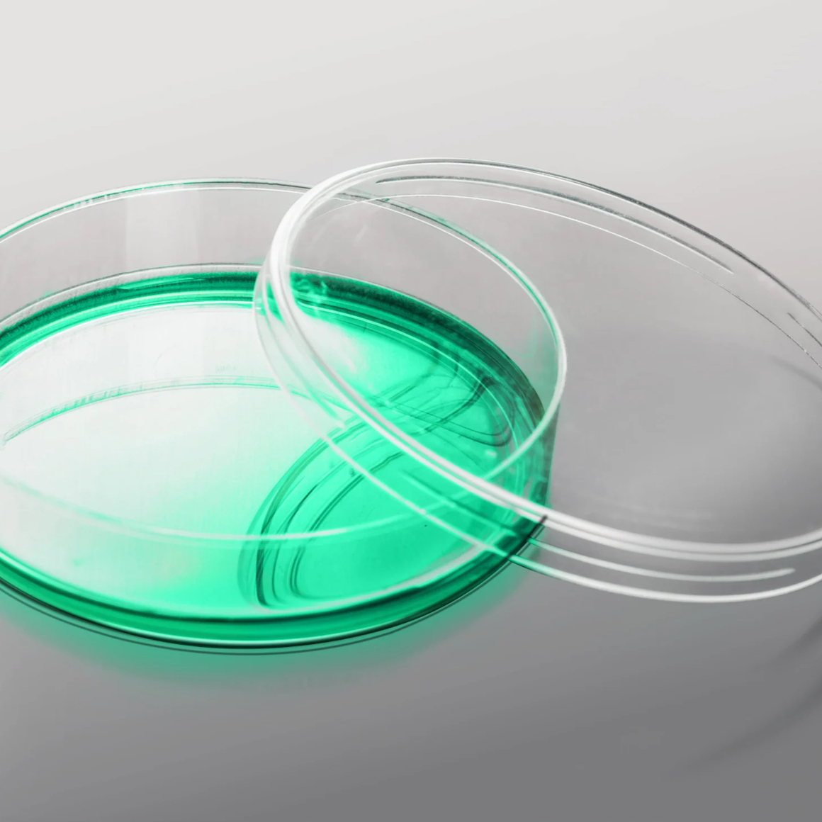 settle-plate-changer