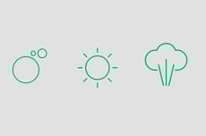 Infografic Valves