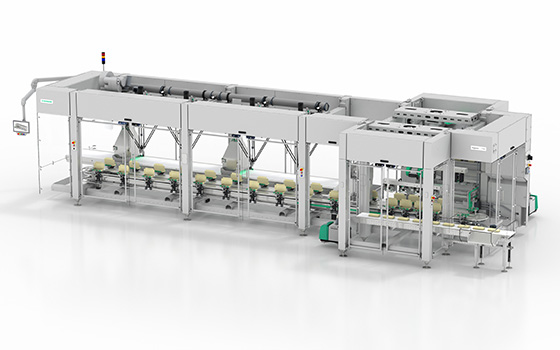 potato-chips-packing-machine