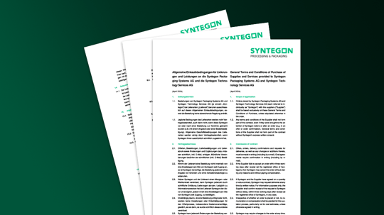 General Terms of Purchase – Syntegon AG