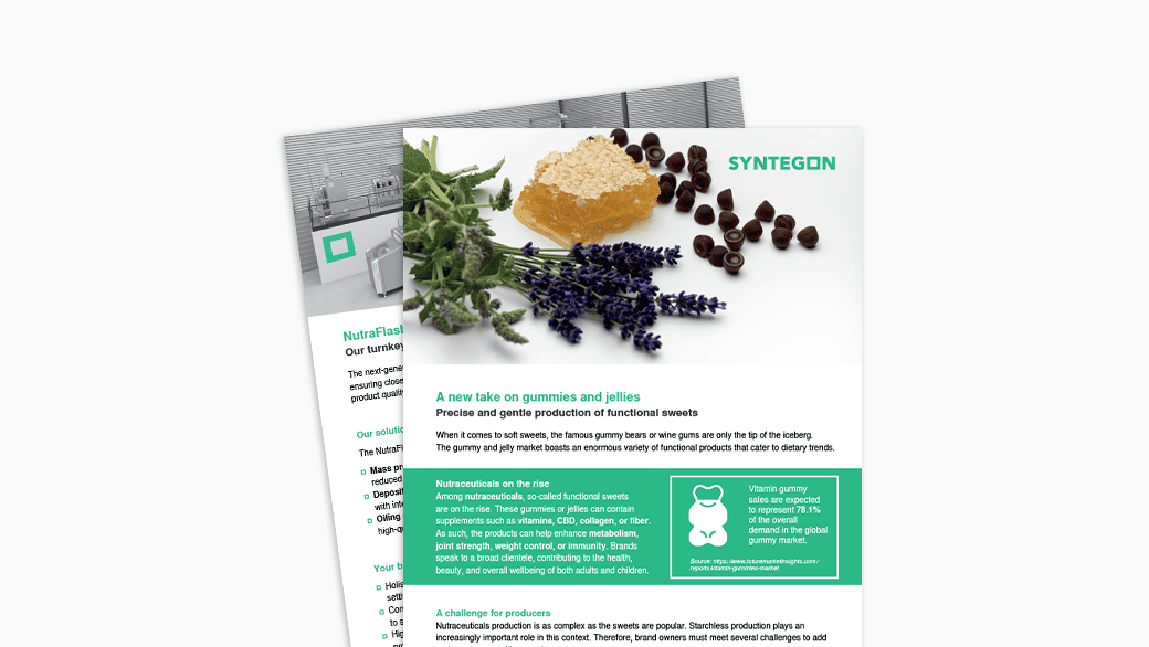 StarchlessTurnkeyProcess - NutraFlash Flyer