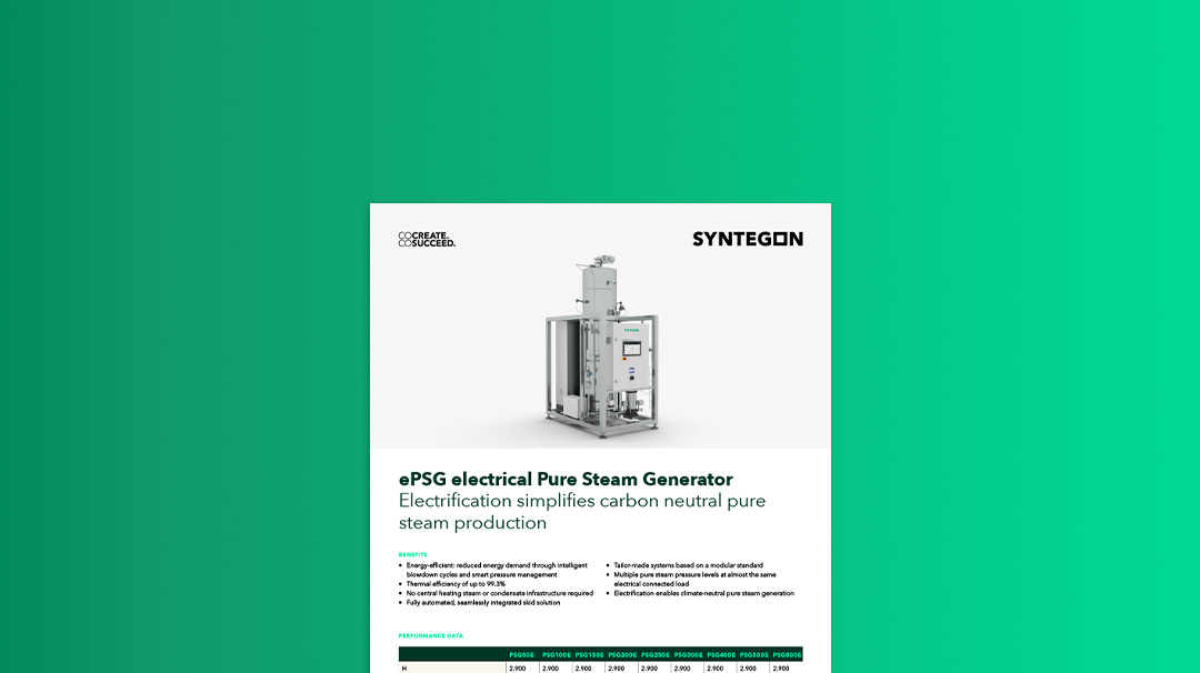 Pure Steam generation flyer