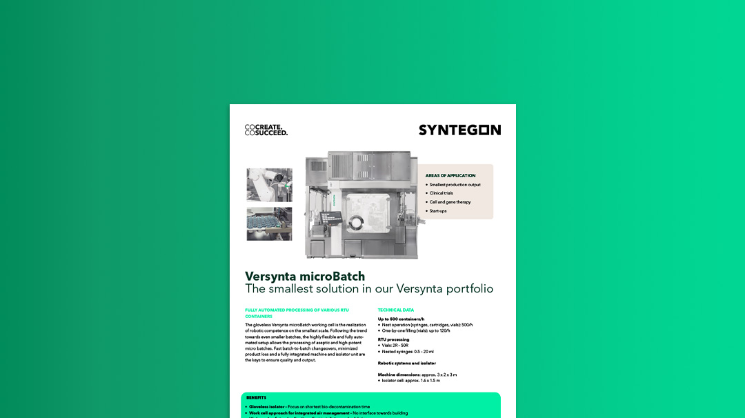 Versynta microBatch flyer 