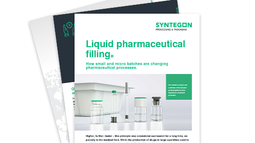 Whitepaper über Kleinstchargenproduktion